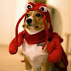 Meet your Posher, Ediberto